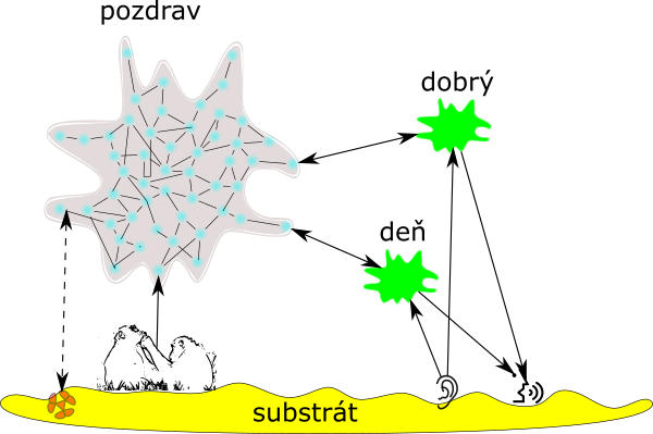 Model mémbionta „dobrý deň“